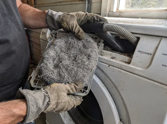 Cleaning Dryer Lint Trap in San Jacinto
